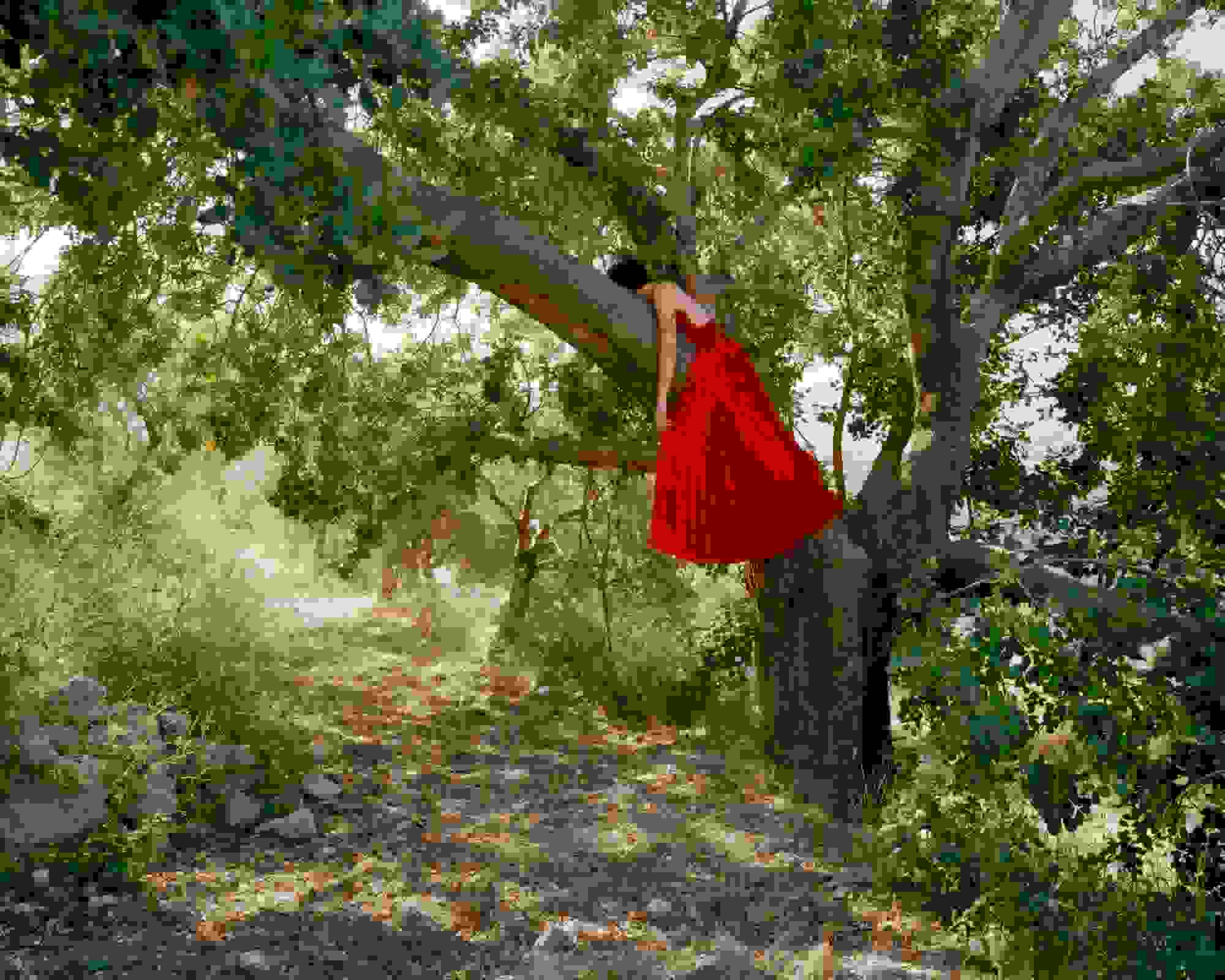 Lara on the tree in her red dress, Koura, Lebanon