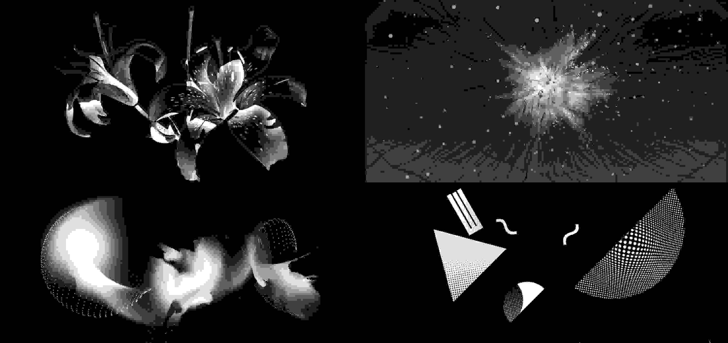 Here are black and white designs of geometric forms that appear to hover in space.