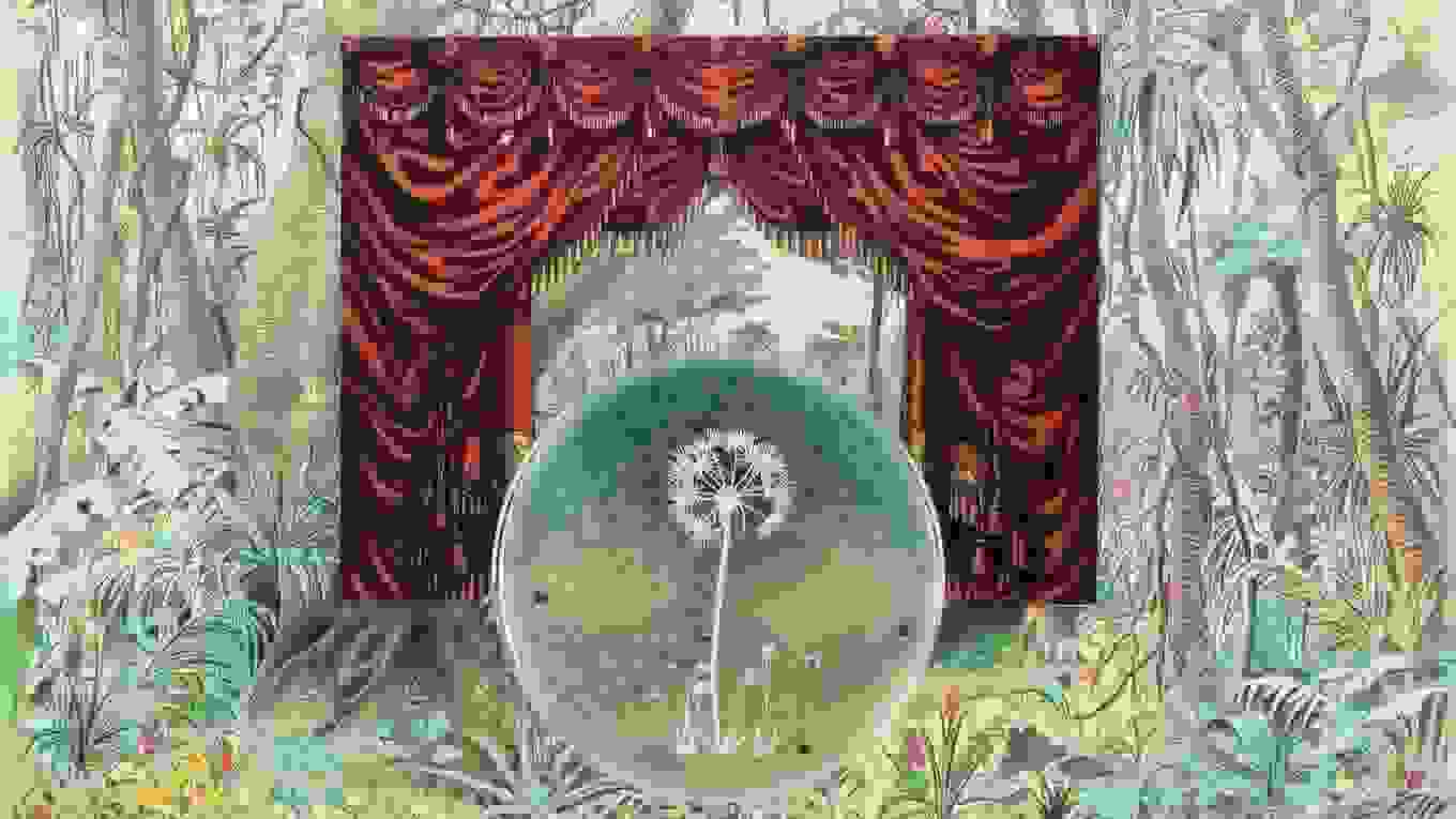 A petri dish with a dandelion in it, against an illustration of theatrical curtains.